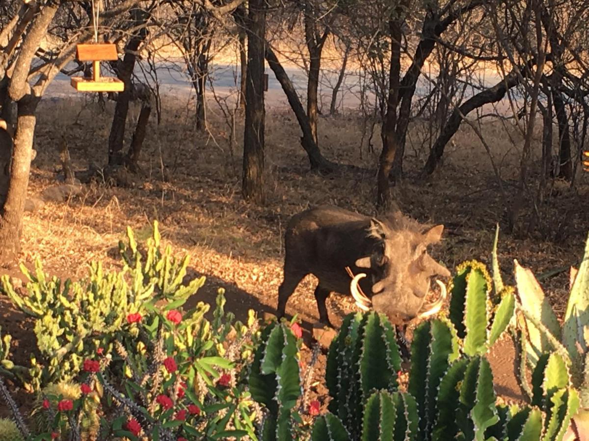 Giraffe Lodge Hoedspruit Esterno foto