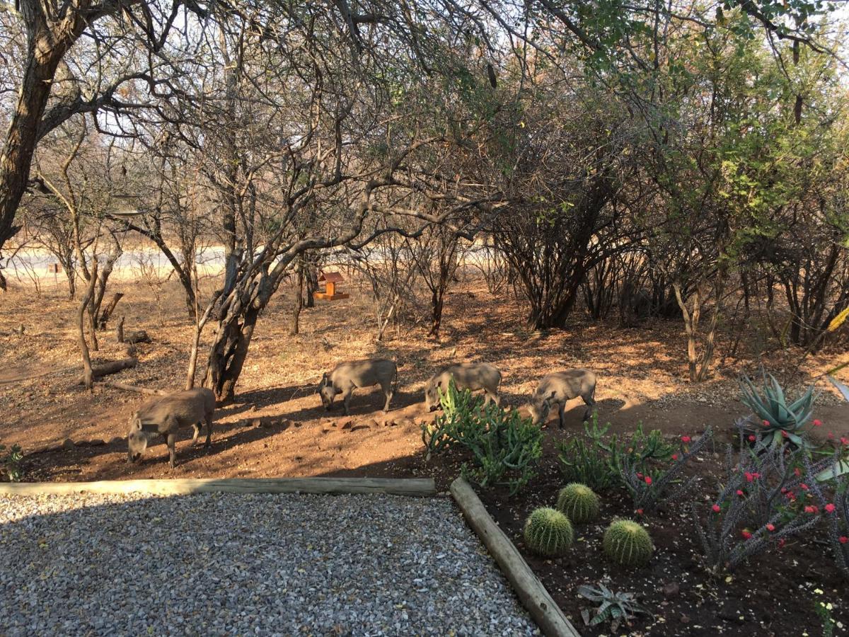 Giraffe Lodge Hoedspruit Esterno foto