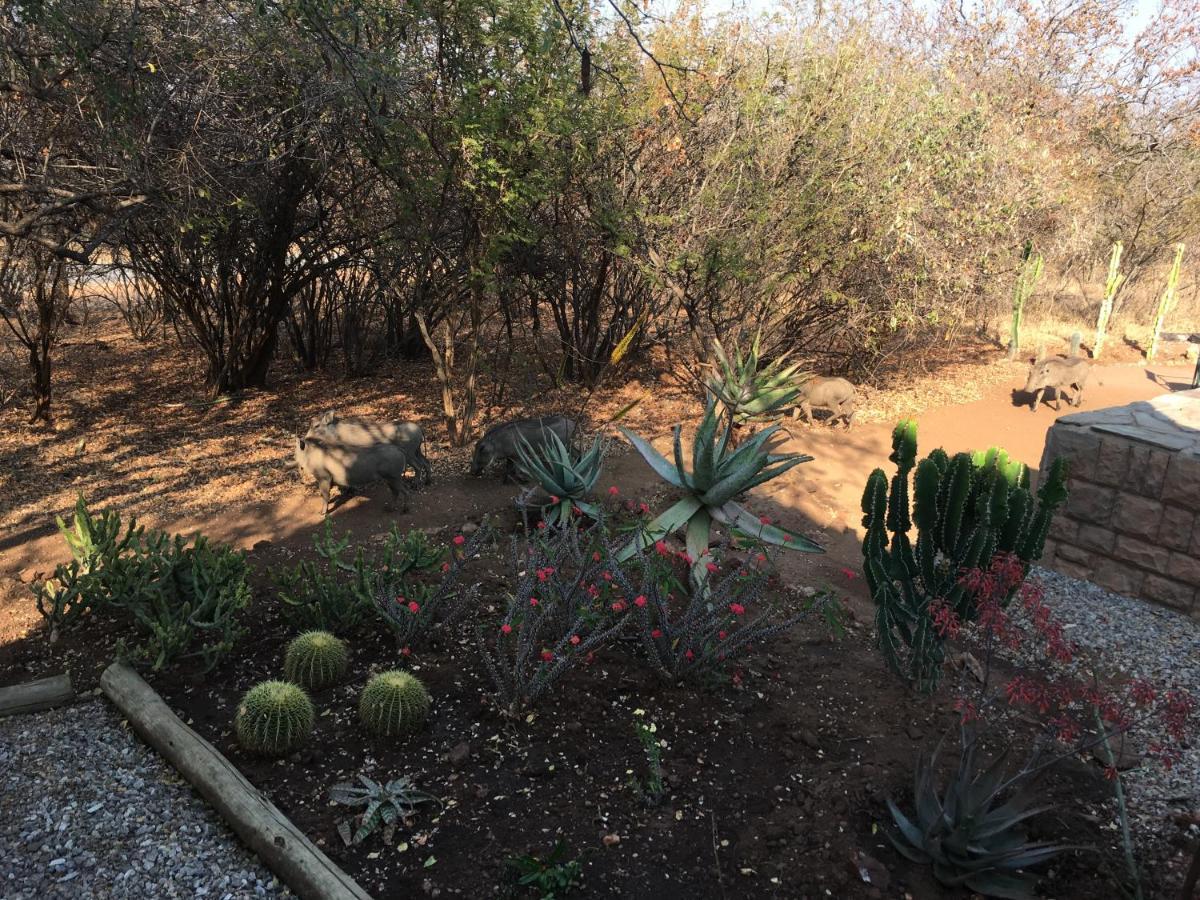 Giraffe Lodge Hoedspruit Esterno foto