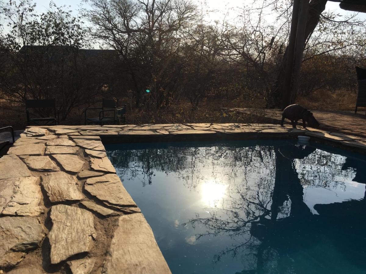 Giraffe Lodge Hoedspruit Esterno foto