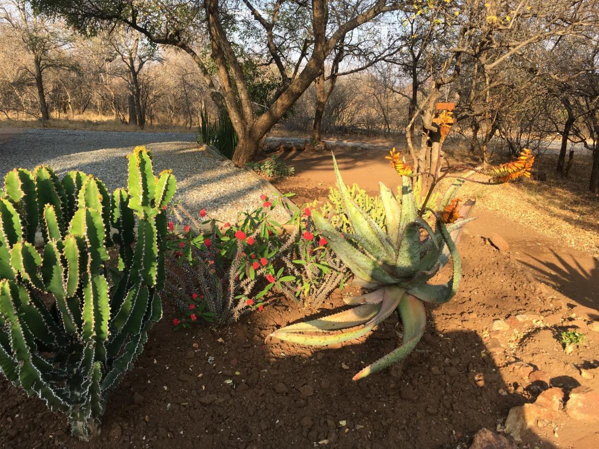 Giraffe Lodge Hoedspruit Esterno foto